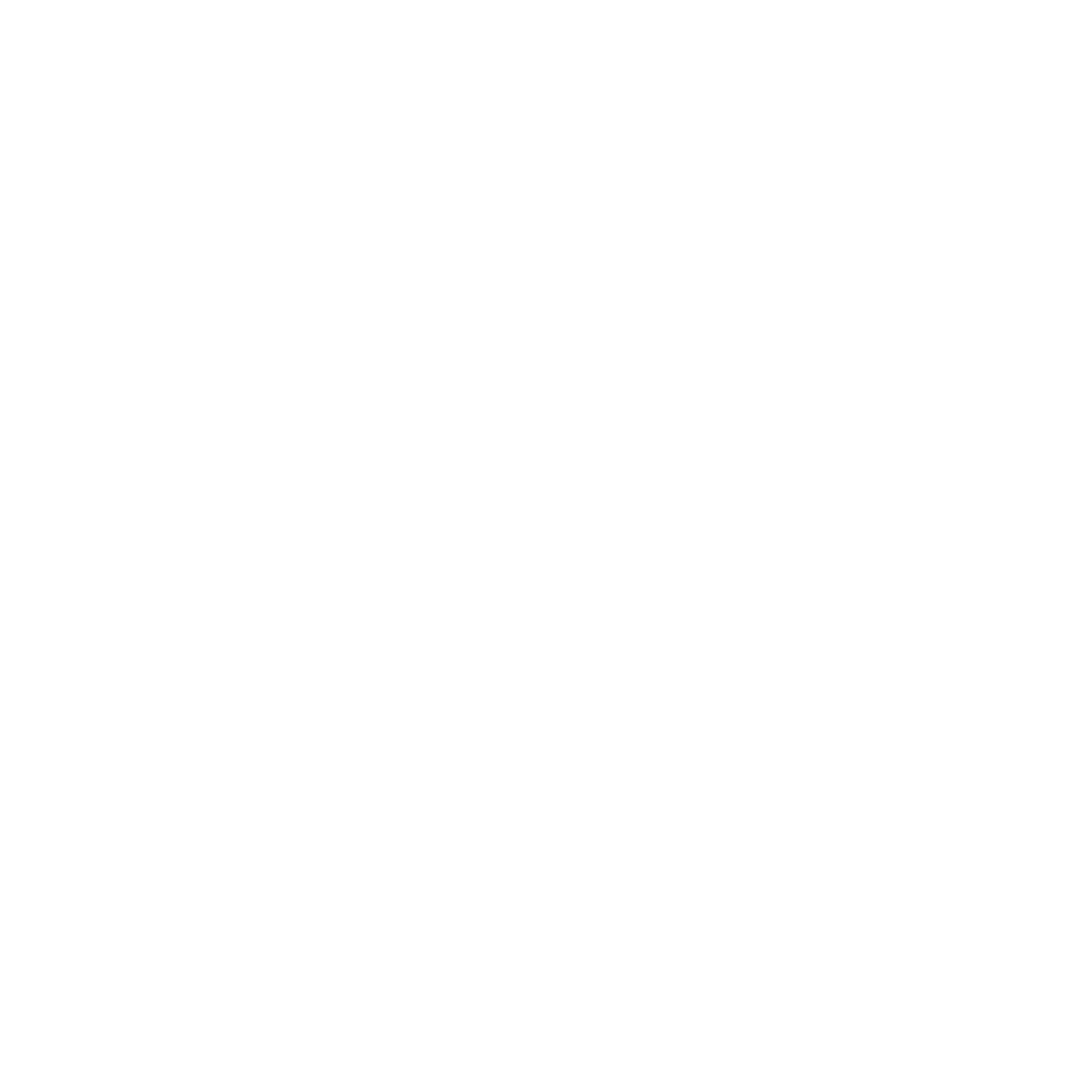 Network Icon